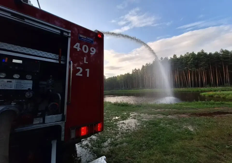 Wypadek na DW 835. Strażacy z Tarnogrodu i Biłgoraja w akcji