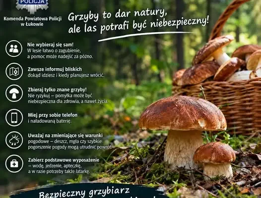 Sezon grzybobrania rozpoczęty – policja apeluje o rozsądek i przypomina o bezpieczeństwie