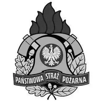 Hołd dla strażaków z Niska: Biłgoraj oddał cześć poległym w akcji