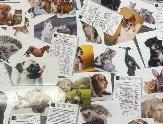 Szkolne Koło Wolontariatu zebrało 250 zł na leczenie Vanessy