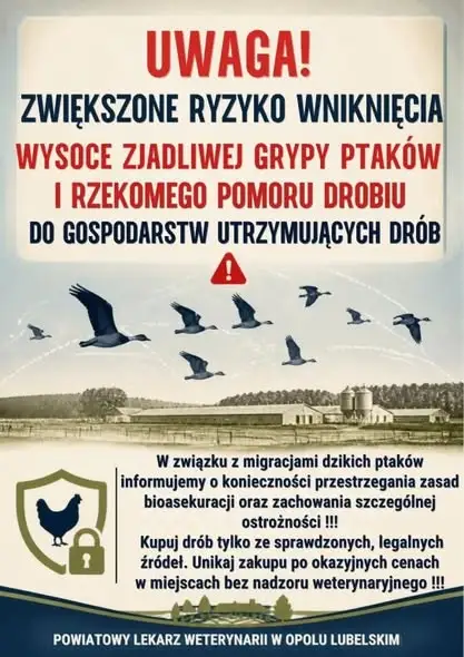 Ostrzeżenie dla mieszkańców gminy Józefów nad Wisłą: grypa ptaków, pomór drobiu i wścieklizna
